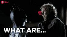 goose wayne batman|crypto batman.